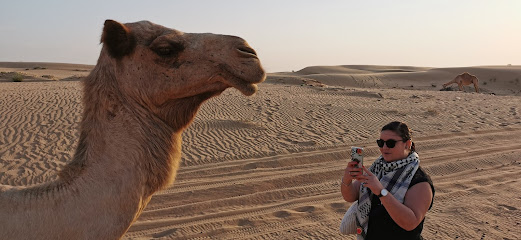 Luxury Desert Safari Dubai
