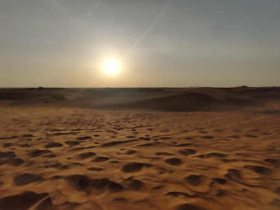 Dubai Desert Safari