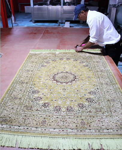 Red Carpet Cleaning Service