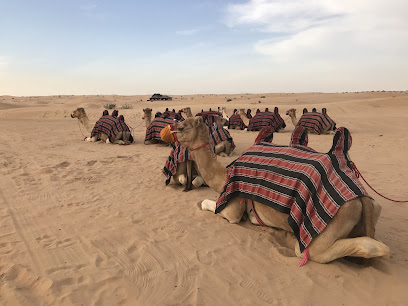 Desert Safari Tour