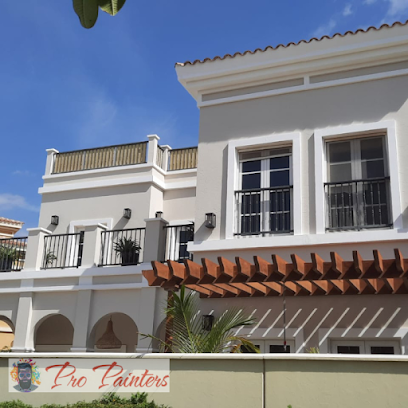 Pro Painters in Dubai