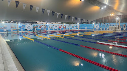 Dolphin Sports Academy