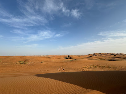 Desert Safari Dubai | Desert Leap Safari Tourism L.L.C