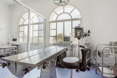 Modern Vet Hospital
