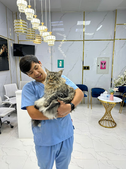 Al furjan vet clinic