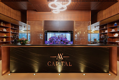 AX CAPITAL Dubai