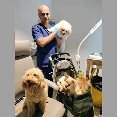 Pet wellness veterinary clinic Dubai