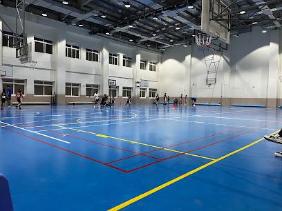 Wise Basketball Academy