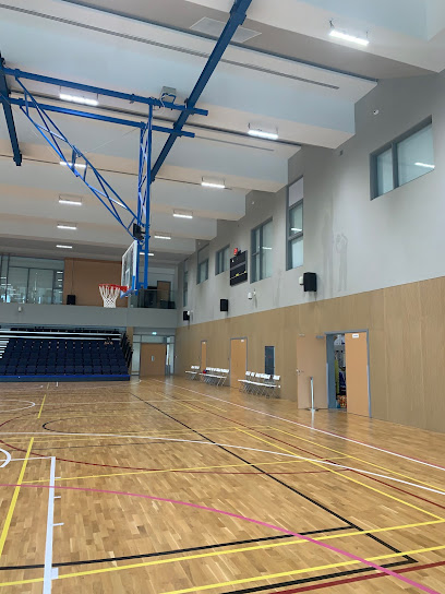 NBA Basketball School
