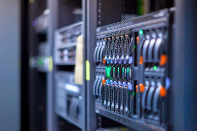 Top Hosting Company