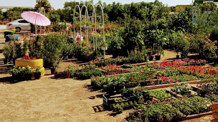 Sunscape Landscape & Gardening LLC