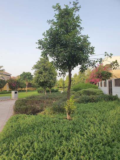 Aldea Courtyard CA 8