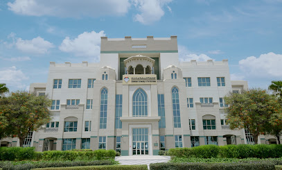 American University in the Emirates