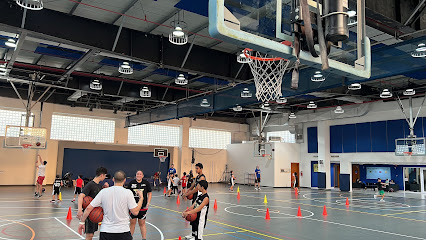 Wise Basketball Academy