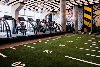 The Warehouse Gym - D3
