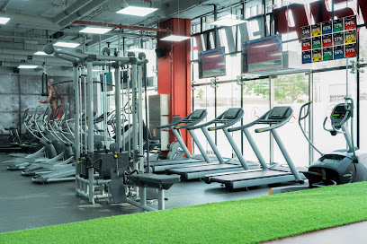 Snap Fitness Downtown