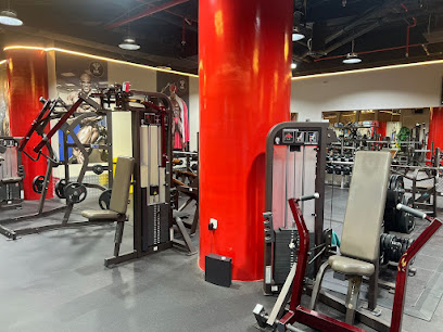 VIP GYM & FITNESS CENTER - Dubai