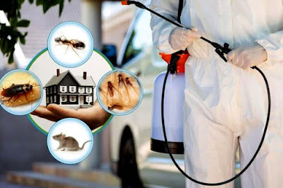 Legend Pest Control Services